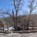 일월산산장 이미지