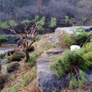 미륵산계곡꿈의궁전마을 이미지