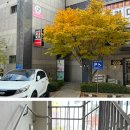 917네일