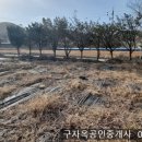 강화읍15분 접근성좋으며 프라이빗한 양도면 삼흥리 231평 1억9000만,강화도토지 이미지