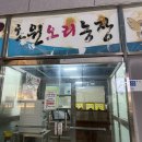 청개구리연탄구이 | 파주 오리 맛집 초원오리농장 캠핑감성