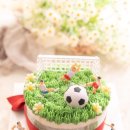 온당에프씨 | 하나면 엄마의 고민 끝! 서울 상암 홍대 합정 연남동 연희동 FC 레터링 주문제작 앙금 떡케익 후기 배달