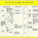 레이화