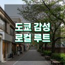 수신창들2교차로 | 도쿄 재방문자 코스: 아사쿠사 대신 나카메구로 기치조지 감성 루트 2026