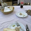 프레지던트호텔 | 두브로브니크 숙소추천 발라마르 컬렉션 프레지던트 호텔 후기