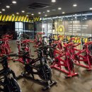 휘트니스 풀바디 이미지