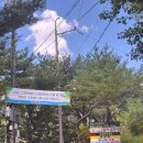 계곡사슴팬션 이미지