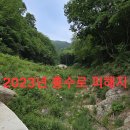 여러곳 답사및 라스트서 목청발견 산행.42 (원본 약초 매니아 카페) 이미지