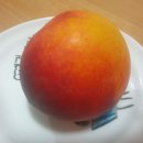 고려농원 이미지