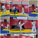경희대MTA태권도 이미지