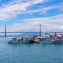 득량만건어물 이미지