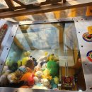 정글펜션 이미지