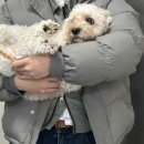 한이세탁소 이미지