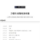 그랜드성형외과의원 Daum카페
