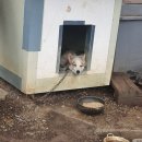 어의곡낚시터 이미지