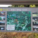 축령산 산소길(3구간) 이미지