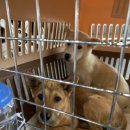 맥스켄넬 이미지