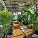 프롬나드 | [여수]돌산 오션뷰카페 식물원 감성도 함께 즐길 수 있는 뷰맛집 ‘프롬나드’ 내돈내산 후기