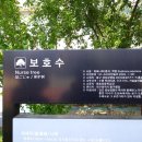 대구종로초등학교 이미지