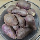 리얼클린족욕(양산점) | 양산 지펠리체웨딩, 하객방문 후기👰‍♀️