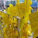 제일리본