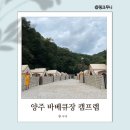 서울 근교 글램핑 양주 당일치기 바베큐장 캠프랩 후기