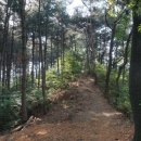 분원레포츠공원남종면공설운동장 네이버블로그