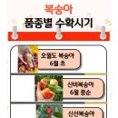 말랑단단 이미지