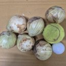 농업회사법인녹색식품(주) 이미지