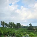 남원읍-42 이미지