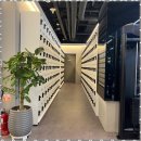 엠에프 휘트니스 | 길동역헬스장 다양한 목표를 위한 최적의 선택, 엠에프휘트니스 후기