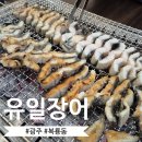 동곡로 | 광주 평동 유일장어ㅣ1kg 29000원 실화?! 4명이서 10만원 안나온 가성비 몸보신 후기