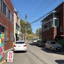 야간테마코스(시간을달리는버스커) | [대구] 실시간 팔공산 벚꽃 🌸 동구데이트코스 추천 불로시장•고분군 카페