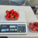 에덴농장 2 이미지