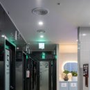 뉴코인싱어 이미지