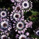 우솔한의원 이미지