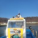푸르네봄식당 | 1박2일 태안여행 2일차 내돈내산 안면도 좌대낚시 내포항 스타좌대