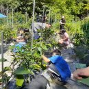 심천초등학교 이미지