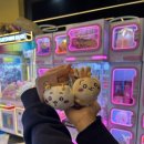 왕오락실 | 발산역 왕오락실- 인형 잘 뽑히는 인형뽑기방/꿀벌 치이카와/꿀벌 우사기