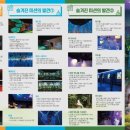 희망태권도체육관 이미지