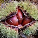 한가위식당 이미지