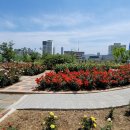 대봉교 교통섬 이미지