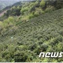 화개축산 이미지