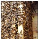 전산옥민박 이미지