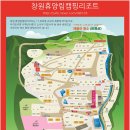 석곡로 | 창원 휴양림 오토캠핑장 아기랑 가기 좋은 숲속 캠핑장 장단점 후기