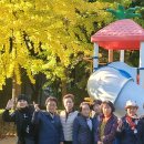 부림동 행정복지센터 Daum카페
