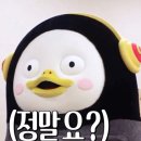 (주)스마일 | 강남스마일프로후기 20대 사회초년생이 내돈엄돈한 과정 1탄