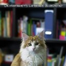 블루드라이어드 이미지