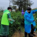 대야리(대실) 이미지