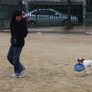 역곡초등학교 이미지